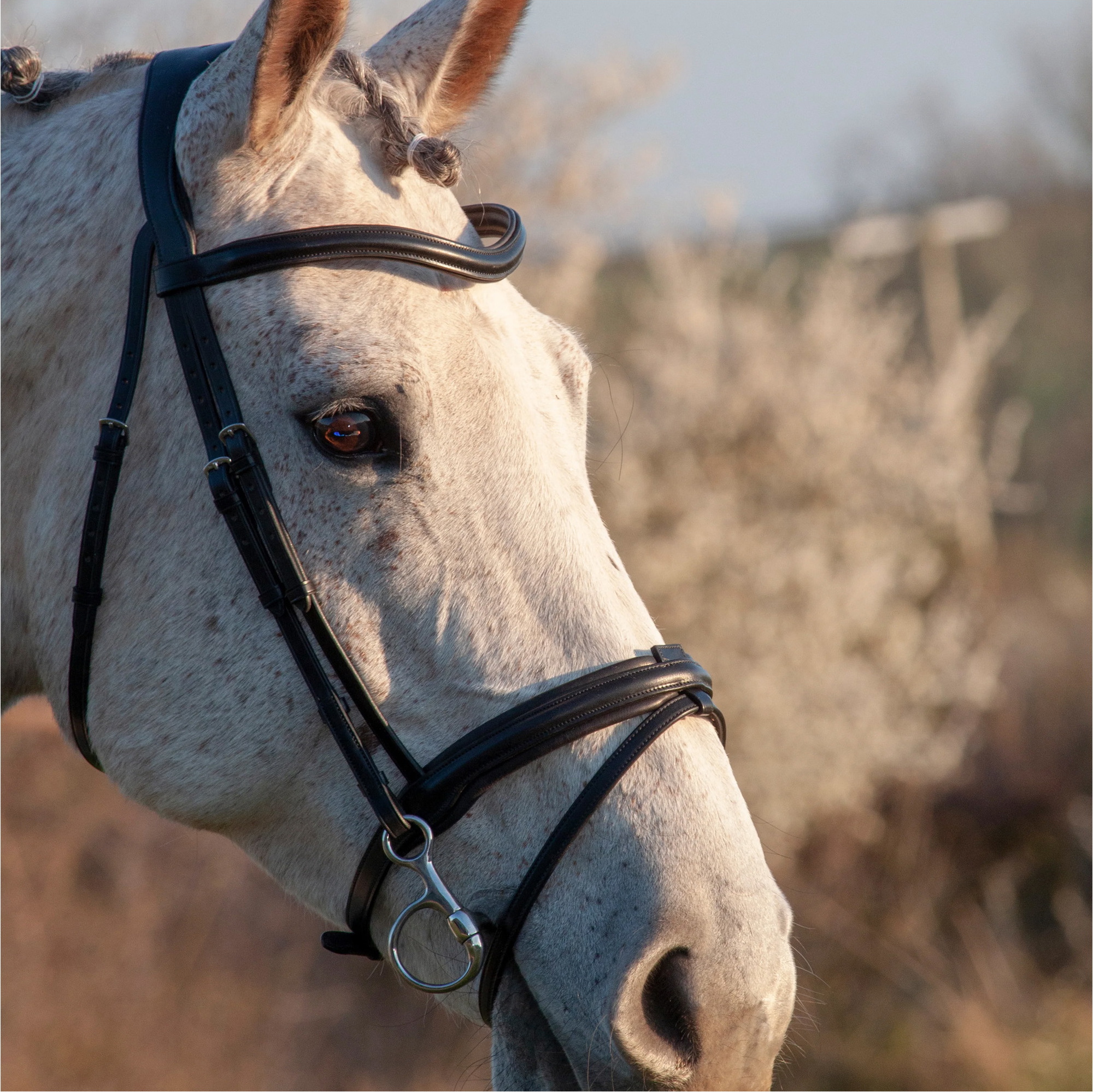 Henry James Saddlery Comfort Flash Bridle HJ-BR-02 - Black